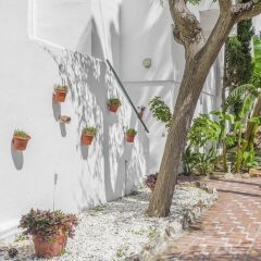 Отель Royal Oasis Club at Pueblo Quinta by Diamond Resorts фото 24