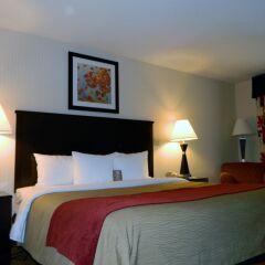 Отель Comfort Inn Farmington комната для гостей фото 3