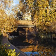Отель Stunning Primrose Hill Gem - MDY Великобритания, Лондон - отзывы, цены и фото номеров - забронировать отель Stunning Primrose Hill Gem - MDY онлайн приотельная территория