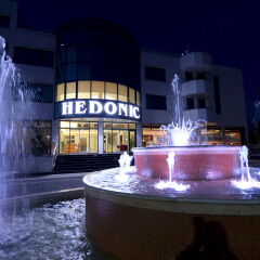 Hotel Hedonic развлечения
