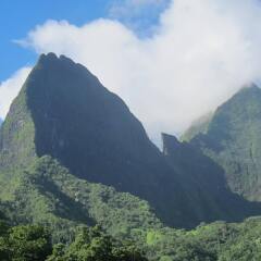 Village Temanoha in Moorea, French Polynesia from 173$, photos, reviews - zenhotels.com photo 3