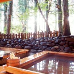 Отель Country Inn Green City Nikko Никко бассейн фото 2