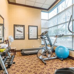 Отель Sunset Inn and Suites Канада, Ванкувер - отзывы, цены и фото номеров - забронировать отель Sunset Inn and Suites онлайн фото 8