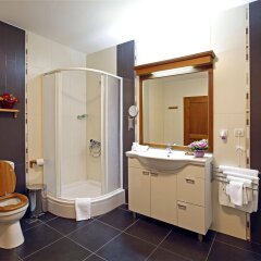 Hotel Hunter's Lodge Kamnik in Skopje, Macedonia from 111$, photos, reviews - zenhotels.com bathroom