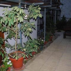 Отель Toni's Guest House Болгария, Сандански - отзывы, цены и фото номеров - забронировать отель Toni's Guest House онлайн