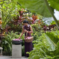 Отель Mandarin Oriental, Bangkok фото 8