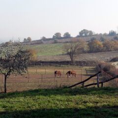 Отель Podere Pievina Синалунга фото 3