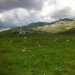 Отель Boskovica Brvnare Жабляк фото 15