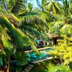 Отель Shangri-Lanka Villa Шри-Ланка, Бентота - отзывы, цены и фото номеров - забронировать отель Shangri-Lanka Villa онлайн фото 10
