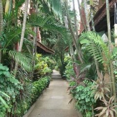 Отель White House Beach Resort фото 6
