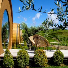 The Wine House Hotel - Quinta Da Pacheca Ламего фото 9
