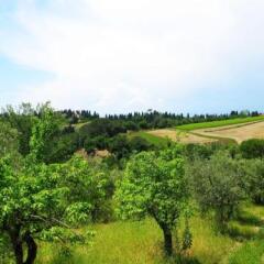 Отель Agriturismo Martignana Alta Эмполи фото 11