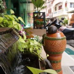Отель Patong Mansion Патонг с домашними животными