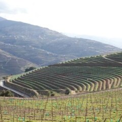 Отель Douro Scala Мезан-Фриу фото 2