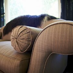 Отель Cambridge Cottage - Self Catering Accom спа
