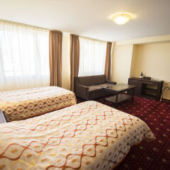 Ani Plaza Hotel in Yerevan, Armenia from 121$, photos, reviews - zenhotels.com guestroom photo 2