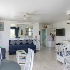 Отель Dolphin Beach Suite Ямайка, Очо-Риос - отзывы, цены и фото номеров - забронировать отель Dolphin Beach Suite онлайн комната для гостей фото 2