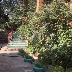 Гостиница Guest House on Griboedovsky 27a - hostel в Ростове-на-Дону отзывы, цены и фото номеров - забронировать гостиницу Guest House on Griboedovsky 27a - hostel онлайн Ростов-на-Дону