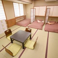 Tokyo Sumidagawa Youth Hostel Токио комната для гостей фото 5