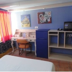 Отель Hostal Los Caracoles удобства в номере