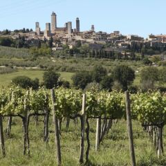 Отель Fattoria Abbazia Monte Oliveto Италия, Сан-Джиминьяно - отзывы, цены и фото номеров - забронировать отель Fattoria Abbazia Monte Oliveto онлайн фото 8