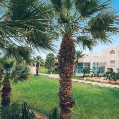 Отель Iberostar Mehari Djerba фото 6