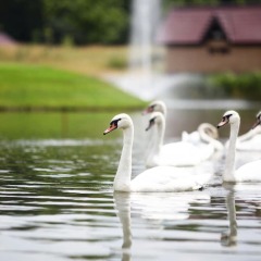 Гостиница Superior Golf and SPA Resort Украина, Харьков - отзывы, цены и фото номеров - забронировать гостиницу Superior Golf and SPA Resort онлайн приотельная территория фото 2