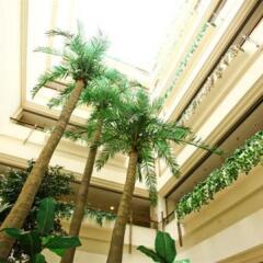 Отель Metropark Hotel Shenzhen Китай, Шэньчжэнь - отзывы, цены и фото номеров - забронировать отель Metropark Hotel Shenzhen онлайн балкон