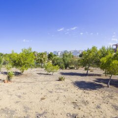Отель Torrevieja Experience Dream Hills пляж фото 2