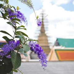 Отель Feung Nakorn Balcony Rooms And Cafe Бангкок помещение для мероприятий