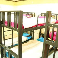 True Hostel & Lounge детские мероприятия