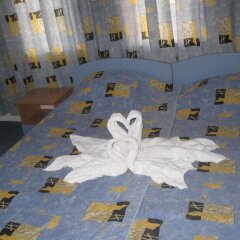 Отель Guest House Mihaela Болгария, Свети Влас - отзывы, цены и фото номеров - забронировать отель Guest House Mihaela онлайн фитнесс-зал