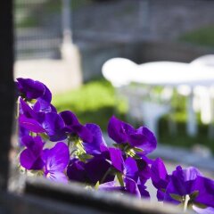 Отель Ulpia House Болгария, Пловдив - отзывы, цены и фото номеров - забронировать отель Ulpia House онлайн фото 4