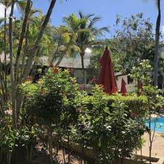 Bamboo Beach Hotel & Spa фото 4