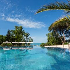 Гостиница Swissôtel Resort Sochi Kamelia с домашними животными