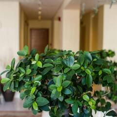 Отель Bellevue Suites Греция, Родос - отзывы, цены и фото номеров - забронировать отель Bellevue Suites онлайн интерьер отеля