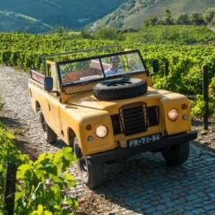 Отель Quinta do Vallado Португалия, Пезу-да-Регуа - отзывы, цены и фото номеров - забронировать отель Quinta do Vallado онлайн фото 15