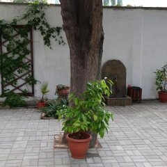 Отель Family Hotel Asai Болгария, Равда - отзывы, цены и фото номеров - забронировать отель Family Hotel Asai онлайн фото 5