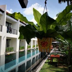 Отель Tea Tree Boutique Resort фото 5
