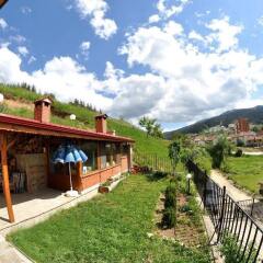 Отель Eco House Family Hotel Болгария, Чепеларе - отзывы, цены и фото номеров - забронировать отель Eco House Family Hotel онлайн фото 2