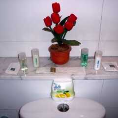 Отель Beesplace Guesthouse ванная