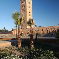 Отель ibis Marrakech Palmeraie Hotel Марокко, Марракеш - отзывы, цены и фото номеров - забронировать отель ibis Marrakech Palmeraie Hotel онлайн приотельная территория фото 2