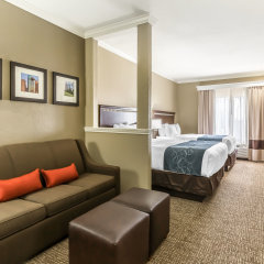 Comfort Suites Houston IAH Airport - Beltway 8 in Houston, United States of America from 81$, photos, reviews - zenhotels.com guestroom