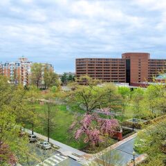 Отель Washington Marriott Wardman Park США, Вашингтон - отзывы, цены и фото номеров - забронировать отель Washington Marriott Wardman Park онлайн фото 11