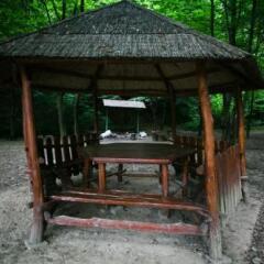 Гостиница Tulpan Hotel Украина, Хуст - отзывы, цены и фото номеров - забронировать гостиницу Tulpan Hotel онлайн фото 6