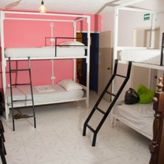 Отель Agavero Hostel Мексика, Канкун - отзывы, цены и фото номеров - забронировать отель Agavero Hostel онлайн детские мероприятия фото 4