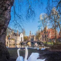 Radisson Blu Hotel Bruges фото 5