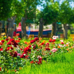 Гостиница Одиссея(Анапа) фото 4