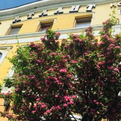 Гостиница Атлант фото 4