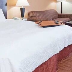 Отель Hampton Inn Niagara Falls, USA США, Ниагара-Фолс - отзывы, цены и фото номеров - забронировать отель Hampton Inn Niagara Falls, USA онлайн фото 4